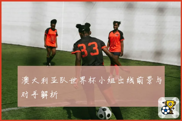 澳大利亚队世界杯小组出线前景与对手解析