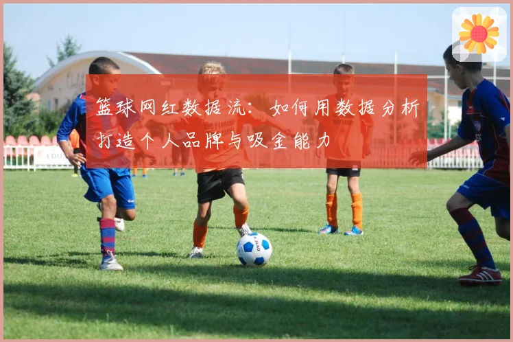 篮球网红数据流：如何用数据分析打造个人品牌与吸金能力